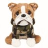 bulldog militar floricultura filippi em joinville
