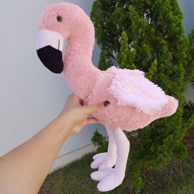 flamingo2