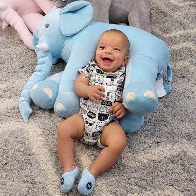 354 elefante almofada azul